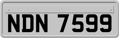 NDN7599