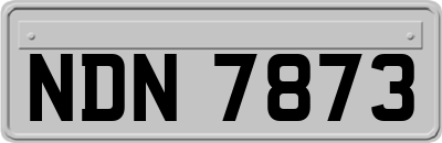 NDN7873