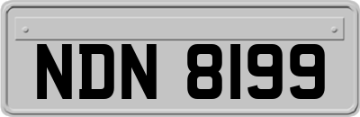 NDN8199