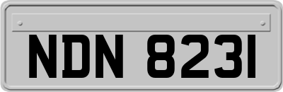 NDN8231