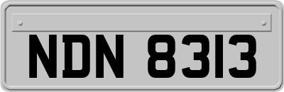 NDN8313
