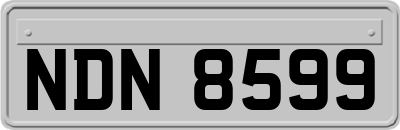 NDN8599