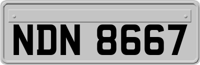 NDN8667