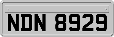 NDN8929