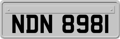 NDN8981