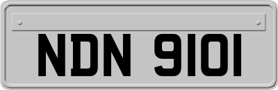 NDN9101