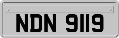 NDN9119