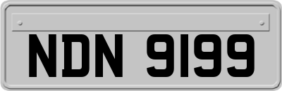 NDN9199