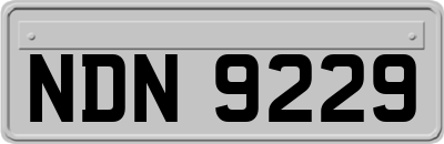NDN9229