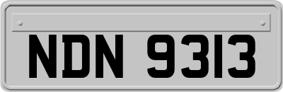 NDN9313