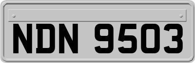 NDN9503