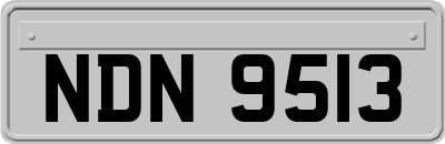 NDN9513
