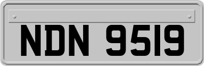 NDN9519
