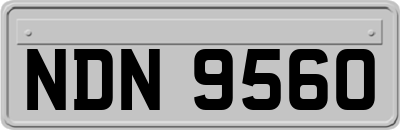 NDN9560