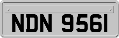 NDN9561