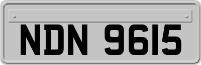 NDN9615