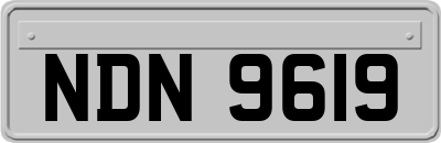 NDN9619