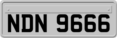 NDN9666