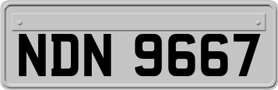 NDN9667