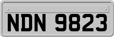 NDN9823