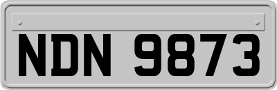 NDN9873