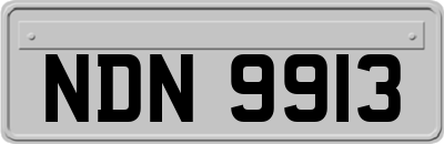 NDN9913