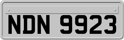 NDN9923