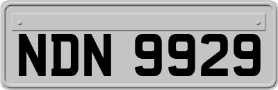 NDN9929