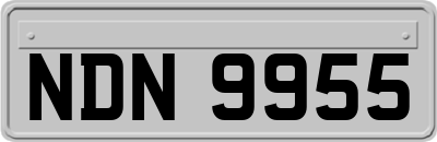 NDN9955