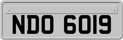 NDO6019