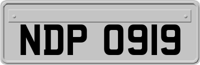NDP0919
