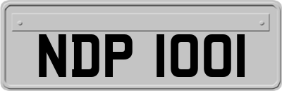 NDP1001