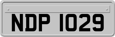 NDP1029