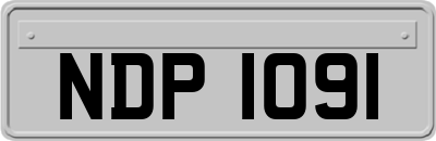 NDP1091