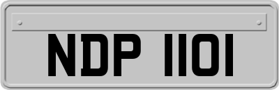 NDP1101