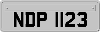 NDP1123