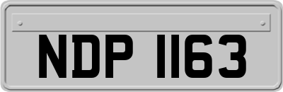 NDP1163