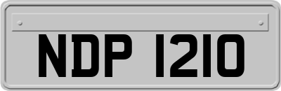NDP1210