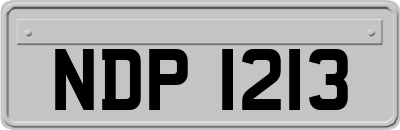NDP1213