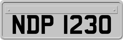 NDP1230