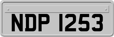 NDP1253