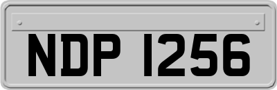 NDP1256
