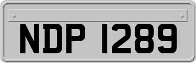 NDP1289