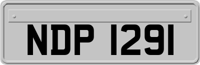 NDP1291
