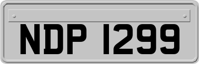 NDP1299