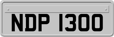 NDP1300
