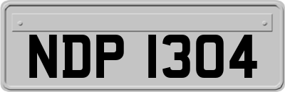 NDP1304