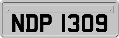 NDP1309