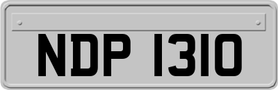 NDP1310
