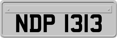 NDP1313